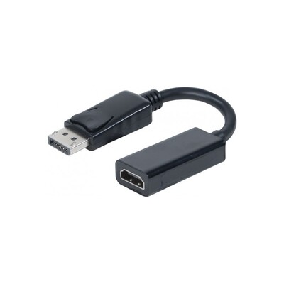 Convertisseur DisplayPort Mâle vers HDMI Femelle (DPm_HDMIf)