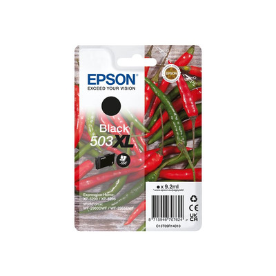 EPSON_C13T09R14010