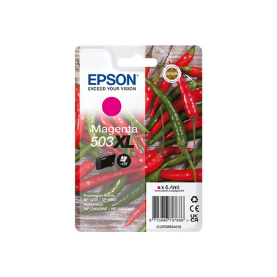 EPSON_C13T09R34010